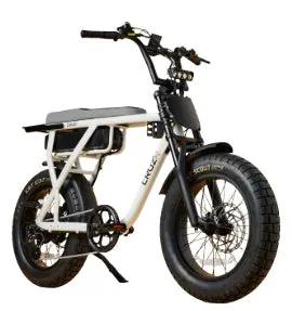 CRUZR E-Bike Barrel 250w by E-BIKES