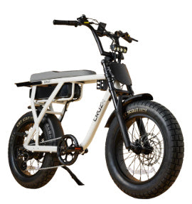 CRUZR E-Bike Barrel 250w by E-BIKES