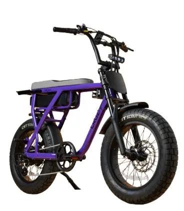 CRUZR E-Bike Barrel 750w by E-BIKES