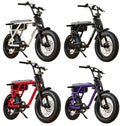 CRUZR E-Bike Barrel 750w by E-BIKES