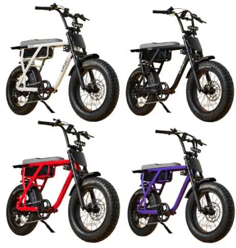 CRUZR E-Bike Barrel 750w by E-BIKES