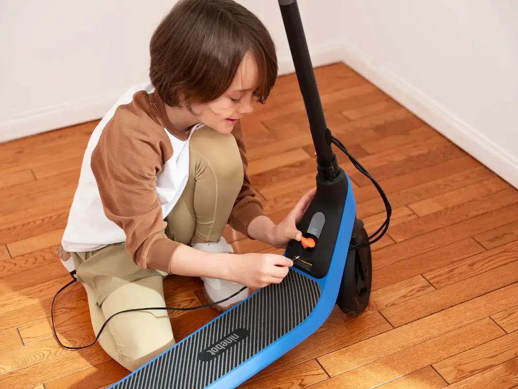 Segway Ninebot Kickscooter C2 Lite by KIDS E-SCOOTERS