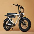 CRUZR E-bike Trigger Gen 3 (250W) by E-BIKES